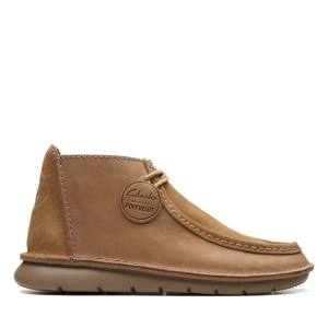 Clarks Colehill Wally Enkellaars Heren Bruin | CLK793LXE