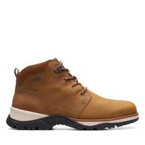 Clarks Topton Mid GORE-TEX Enkellaars Heren Bruin | CLK390VPX